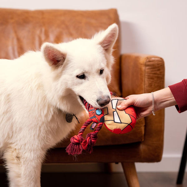 Cuerda dental para perros - Iron Man Marvel