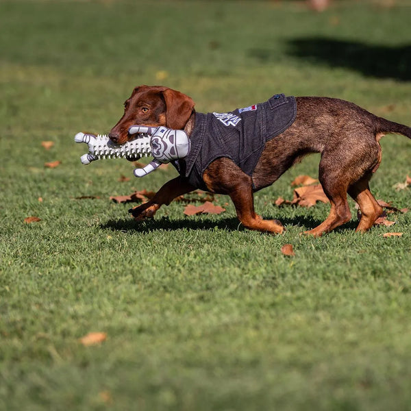 Massaggiagengive per cani - Stormtroopers Star Wars