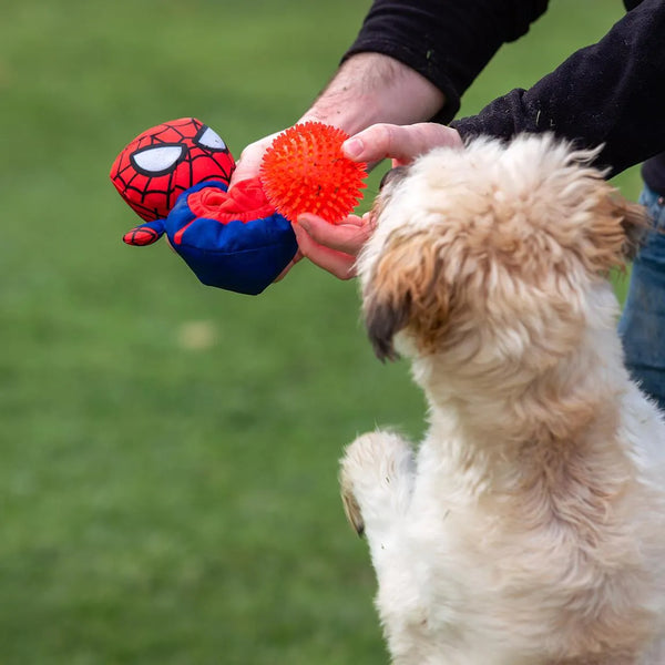 Peluche palla per cani - Spiderman