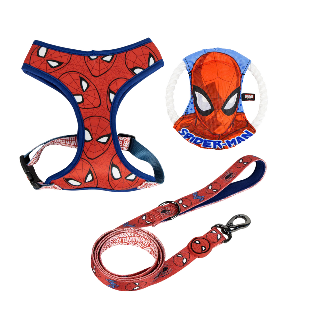 Pack Completo con Cuerda Dental - Spiderman