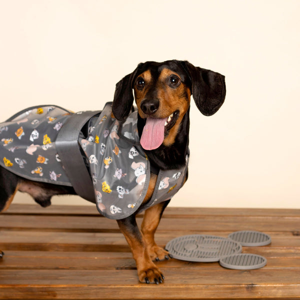 Imperméable respirant pour chien - Disney